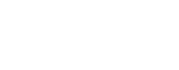 Inteec - Business Strategy Consulting